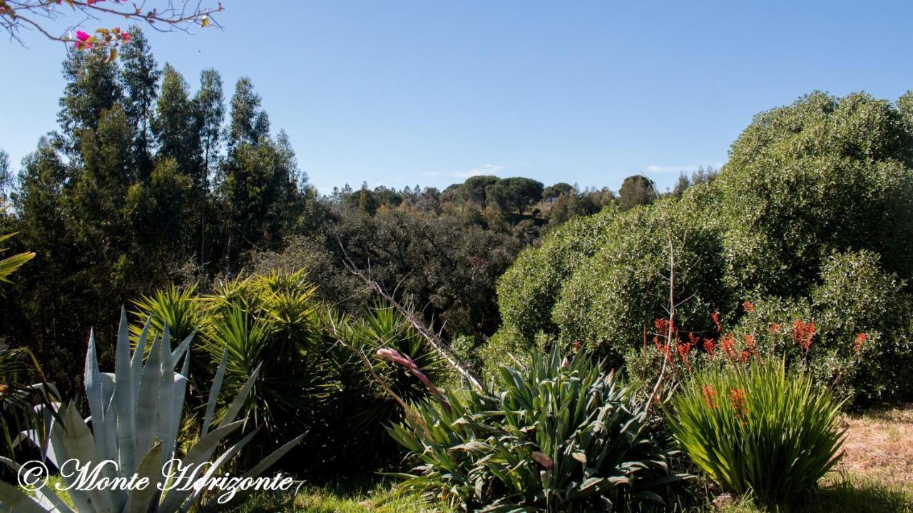 Monte Horizonte - Turismo Rural- - Eco & Nature Holiday home *