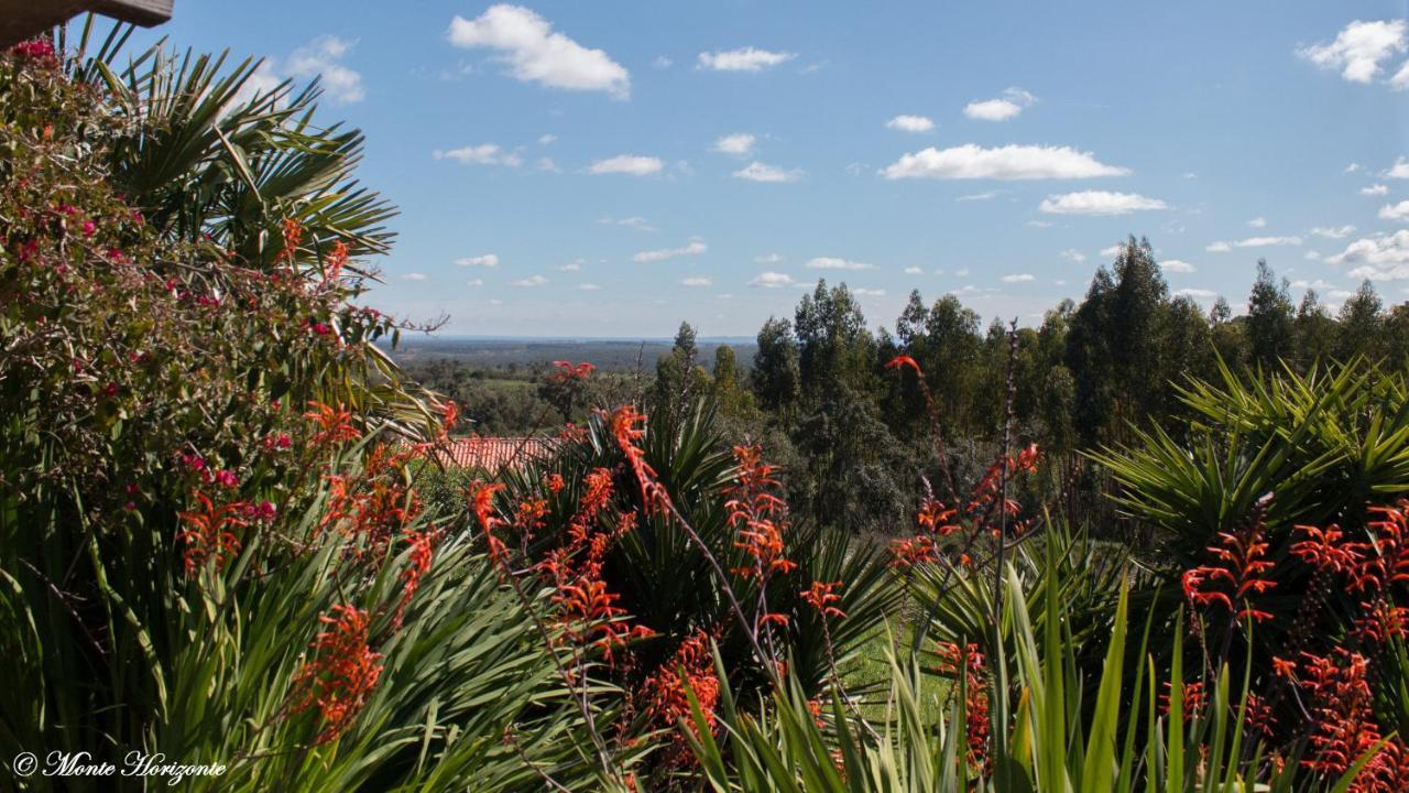 Holiday home Monte Horizonte - Turismo Rural- - Eco & Nature Santiago do Cacem